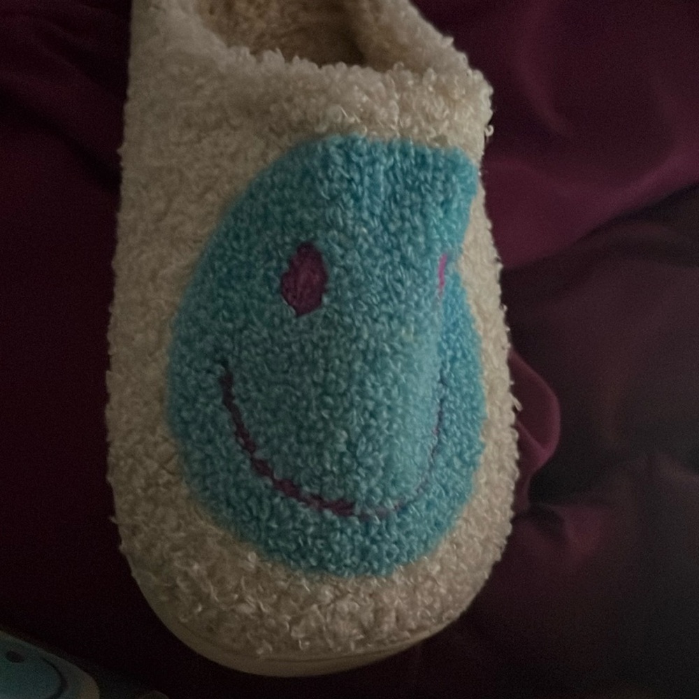 Teddy Slippers